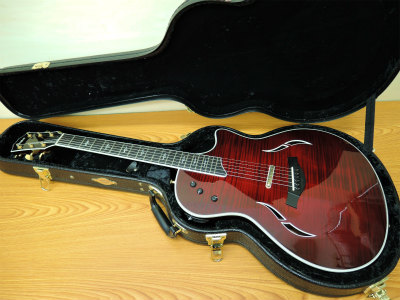エレキギター
TAYLOR
T5C1