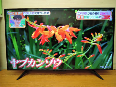 2021年7月買取
SHARP 液晶テレビ
50型 2018年製